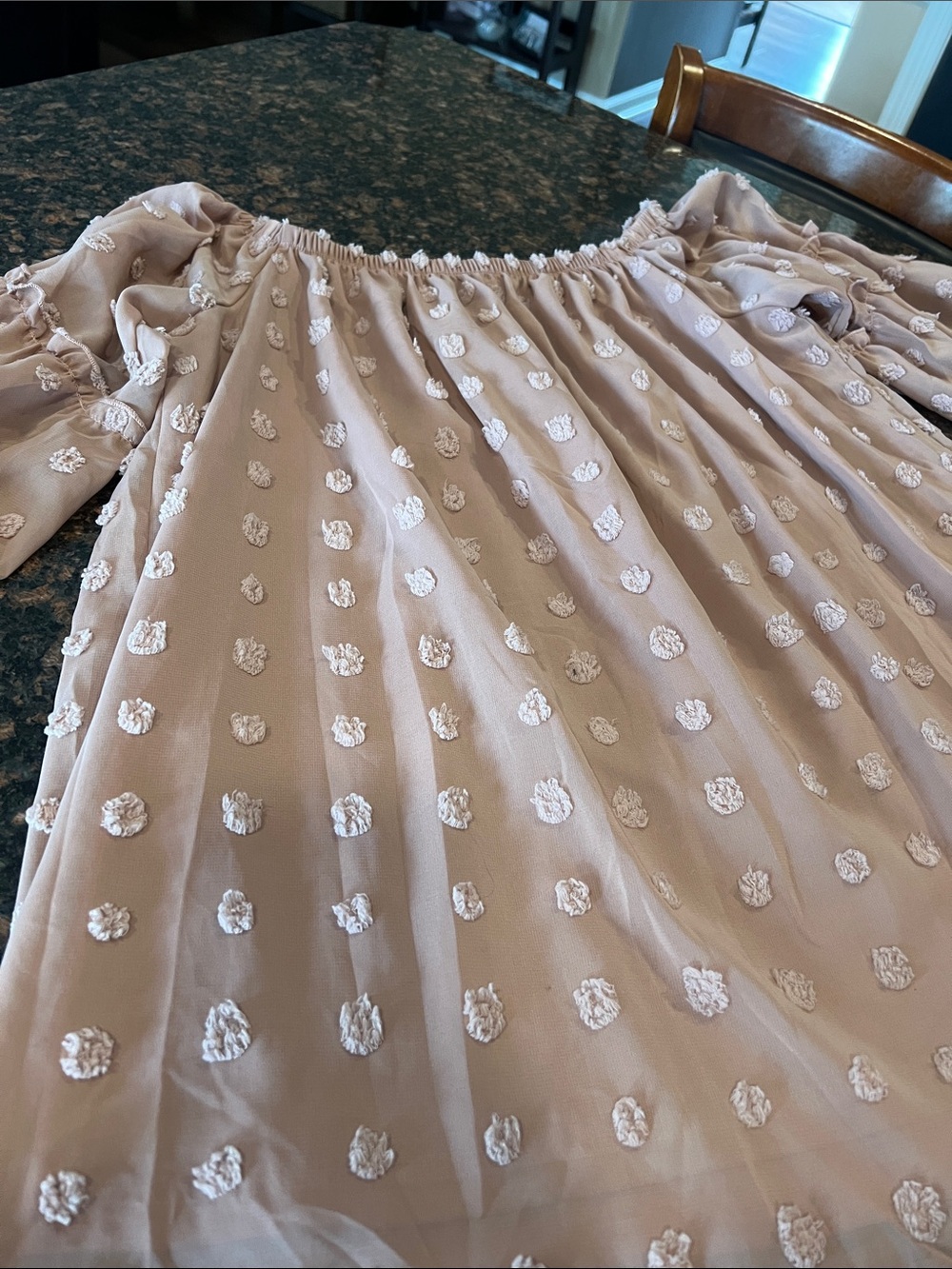Off-Shoulder Blush Dot Embroidered Blouse 2X